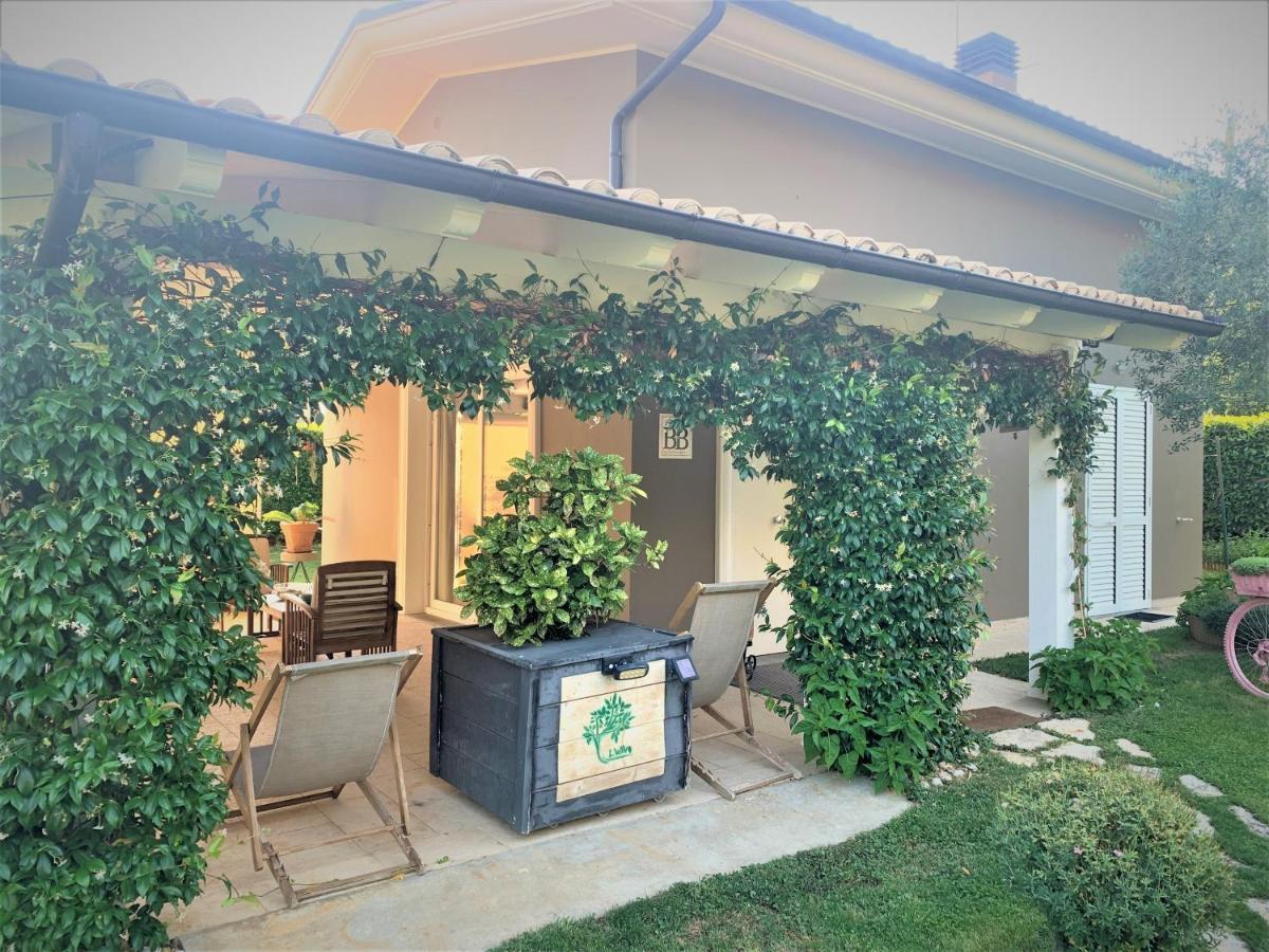 L' Ulivo Bed & Breakfast Teramo Ngoại thất bức ảnh