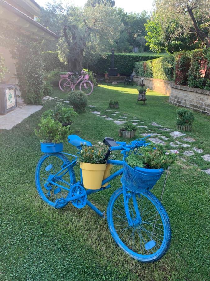 L' Ulivo Bed & Breakfast Teramo Ngoại thất bức ảnh